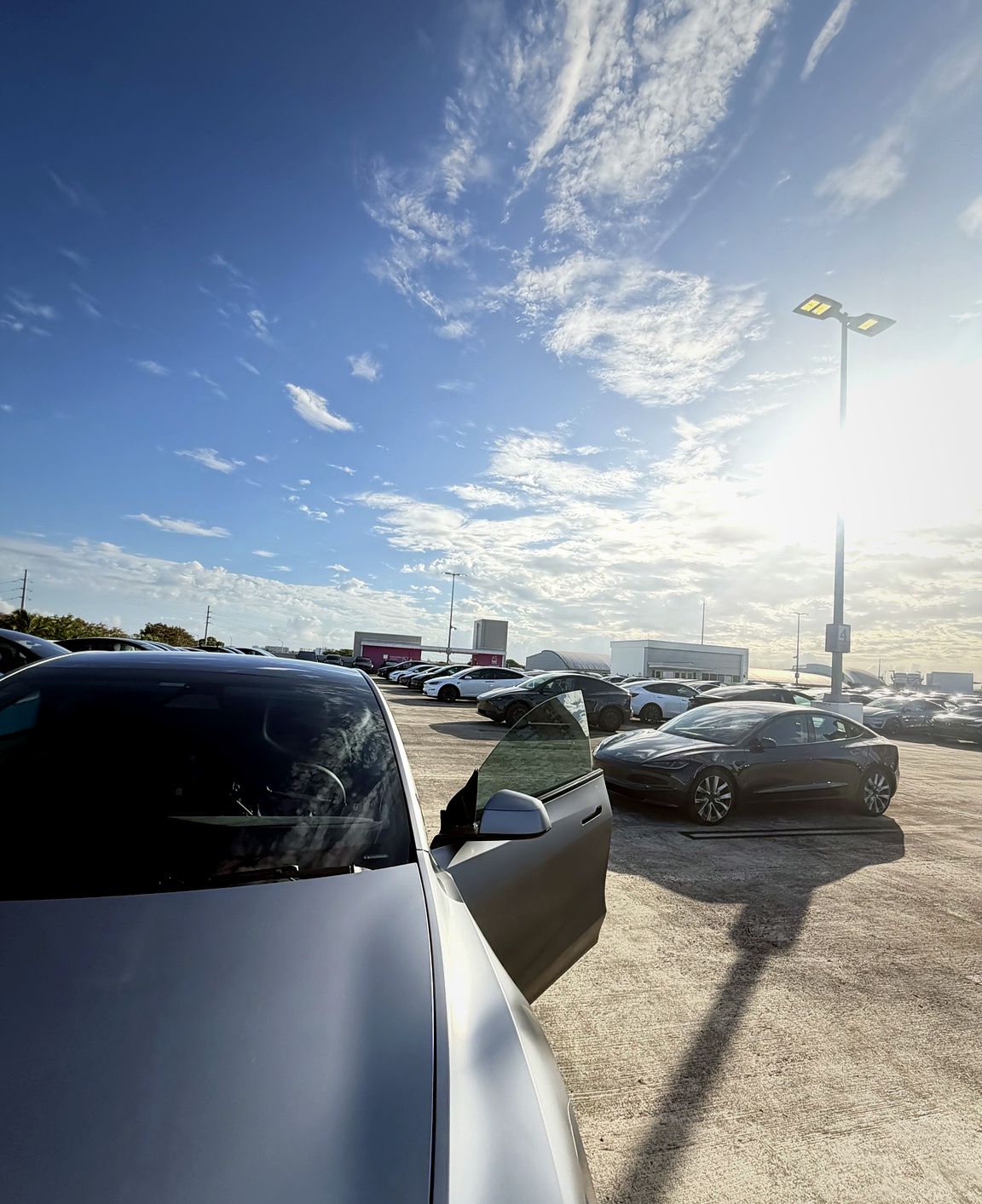 Model Y Quicksilver parked among other Teslas on a clear day in Puerto Rico